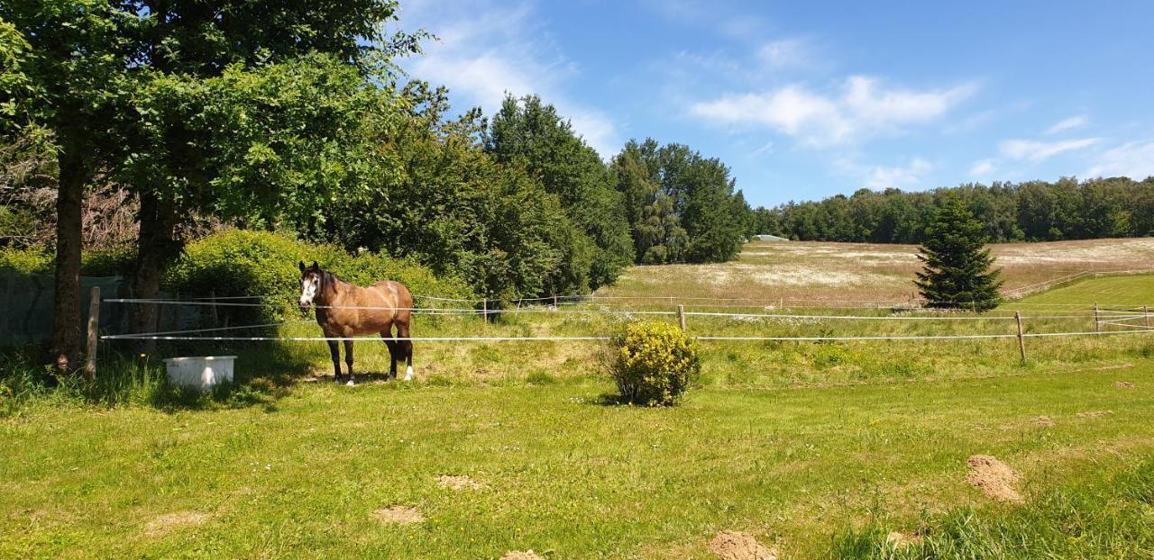 Вилла Domaine De Vaulatour. Payzac  Экстерьер фото
